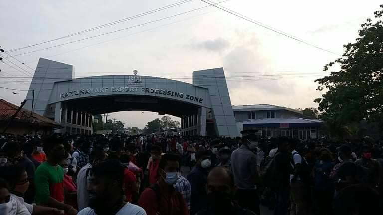 දැන්වත් මේකට මැදිහත් වෙයල්ලා බූරු හැත්ත