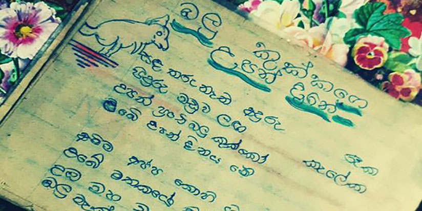 බලු කුක්කගෙ උපන්දිනේ