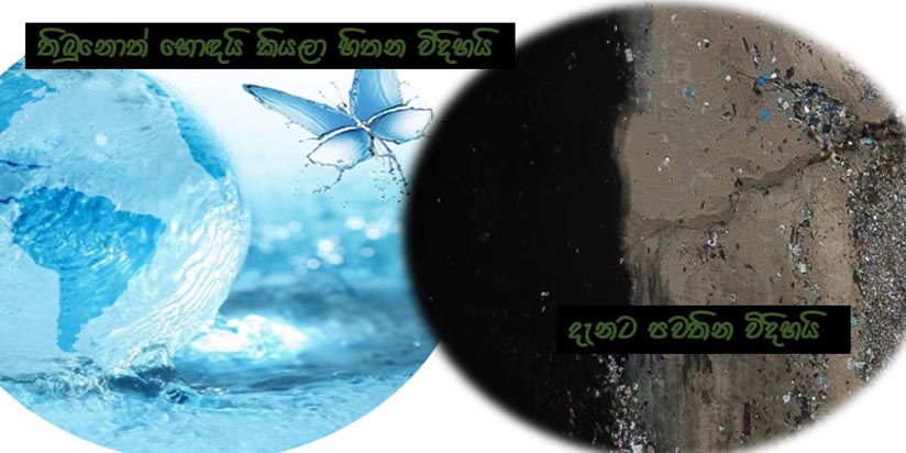 ලෝක ජල දිනය මාර්තු 22 දින සමරනු ලැබුවා .