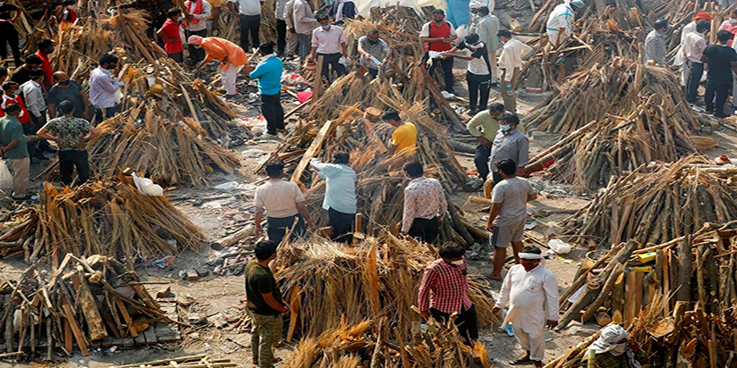කිංස්ලි ,සුදේව සහ “ජනඝාතක” රෝගය