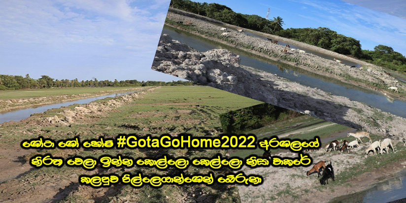 අරගල කොල්ලො කෙල්ලො නිසා වාකරේ කලපුව පිල්ලෙයාන්ගෙන් බේරගන්න පුලුවන් වුනා.
