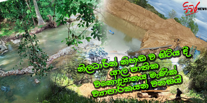 යාල විනාස කරන මැණික් ජාවාරම්කරුවෝ පිටුපස ඉන්නේ දේශපාලකයෝ