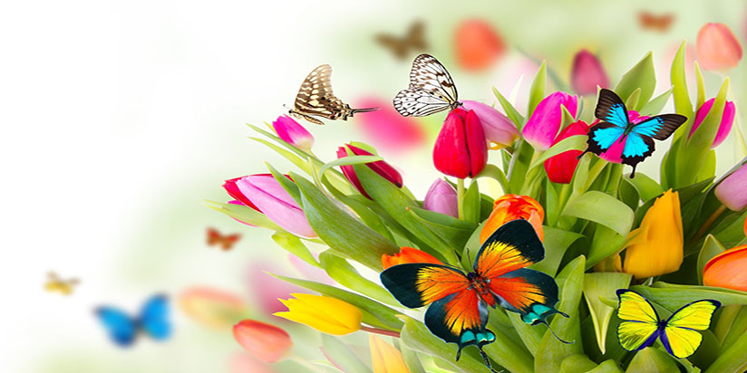 මෙයට ද ජීවිතය යැයි පද’රුත් බඳින්නේ….