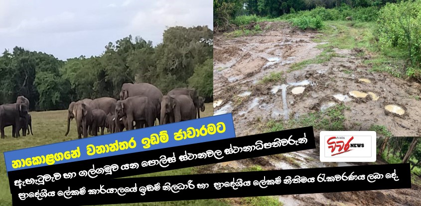 නාකොළගනේ වනාන්තර ඉඩම් ජාවාරමෙන් අලි – මිනිස් ගැටුම හා ජල අර්බුධ උග්‍ර වේ .