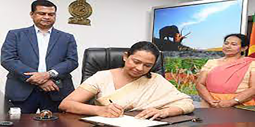 පවිත්‍රා වන්නිආරච්චි හා අමාත්‍යංශ ලේකම් චන්ද්‍රානි හේරත් එක් ව නීති විරෝධී ව දැවැන්ත රක්ෂිත වනාන්තර කොල්ලයක් අරඹයි