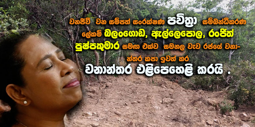 පවිත්‍රා වන්නිආරච්චි හා රංජිත් පුෂ්පකුමාර එක් වී සමනල වැව වනාන්තරය වනසයි