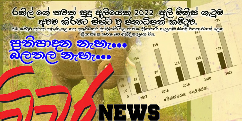 අලි-මිනිස් ගැටුම දඩමීමා කරගෙන ආණ්ඩුව අලි හොරුන් පිනවීමට සැරසෙනවාද?