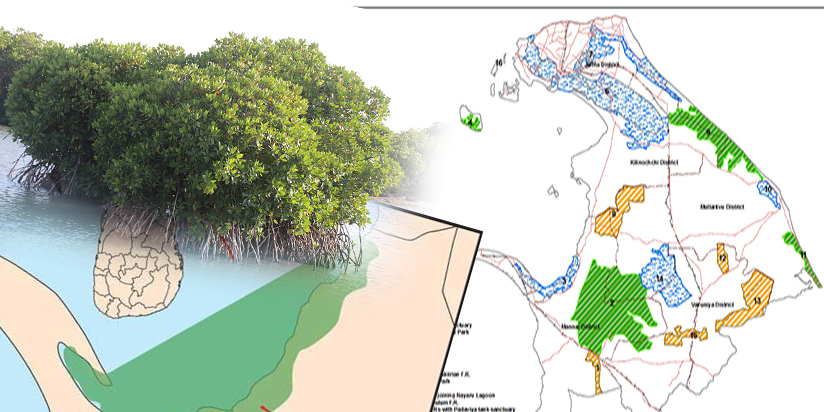ජනාධිපති සහ පවිත්රා වන්නිආරච්චි තප්රොබේන් සීෆුඩ් සමාගම හා එක් ව වෙඩිතලතිව් ස්වභාව රක්ෂිතය වනසයි