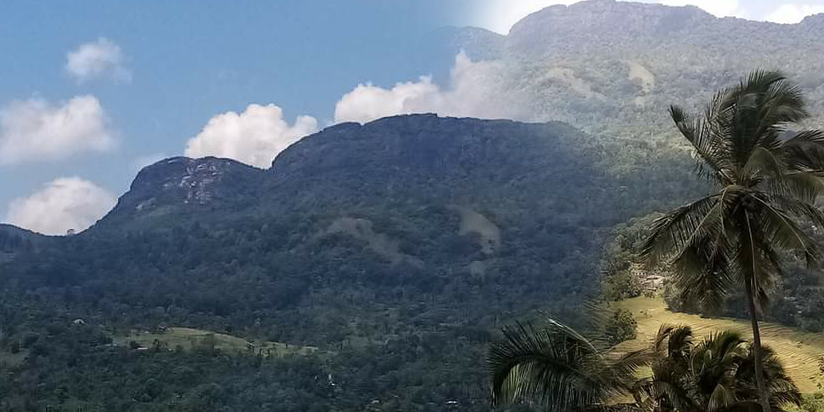 පිසදා හැරීමේ රීතිය. (Wiping-out theory)