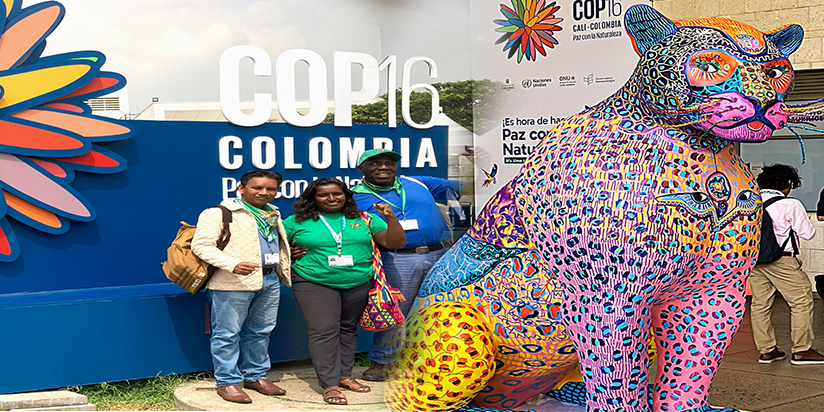 ජෛව විවිධත්ව සමුළුව හා ඩිජිටල් යටත්විජිතකරණය – CBD, COP16, DSI සහ AI