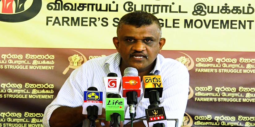 සහල් හිඟයට හේතුව දත්ත විකෘතියක් ද ?