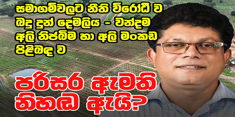දෙමලිය – වන්දම අලි නිජබිම හා අලි මංකඩ නීති විරෝධී ව සමාගම්වලට බදු දීමට එරෙහි පරීක්ෂණය තවම සිදු කර නොමැත
