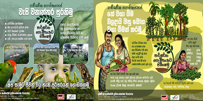 තේ වගාවෙන් වනසන අවසන් වැසි වනාන්තර