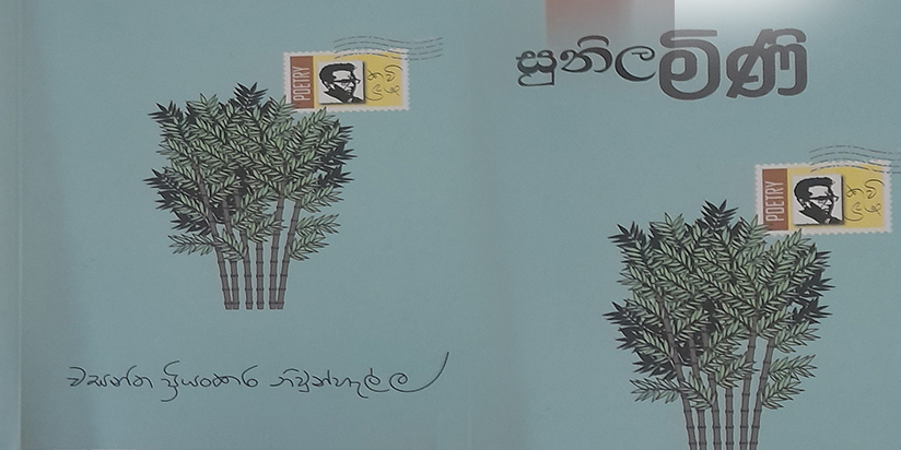 ස්වාභාවික පරිසරය ජයග්‍රහණය කිරීමේ භාවිතයක් ලෙස නිවුන්ගේ කවිය