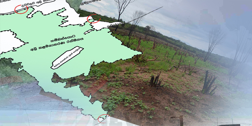 ආයෝජකයන් පිනවීමට අලි එළැවීම වෙනුවට හම්බන්තොට අලි කළමනාකරණ රක්ෂිතය සුරක්ෂිත කළ යුතු ය.