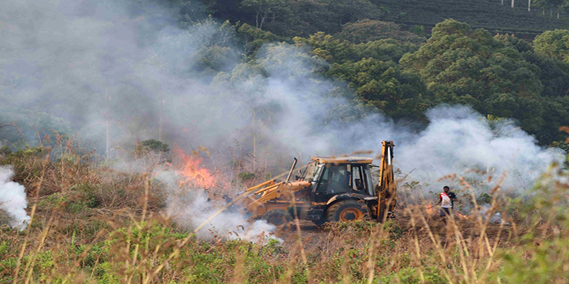 බෝටියතැන්න සිංහරාජ ප්‍රධාන වන මංකඩ සරත් මාකාවිට නැවත ගිනිතබයි .