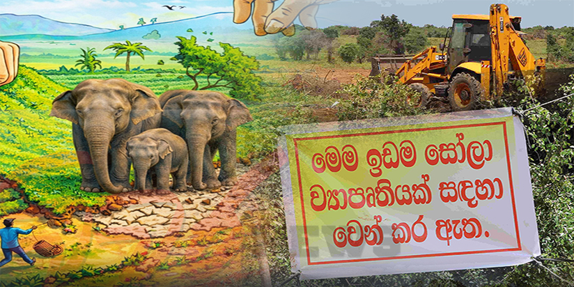 සූර්ය බලශක්ති සමාගම් අල්ලස් ලබා දී හම්බන්තොට අලි නිජබිම් වනසයි.