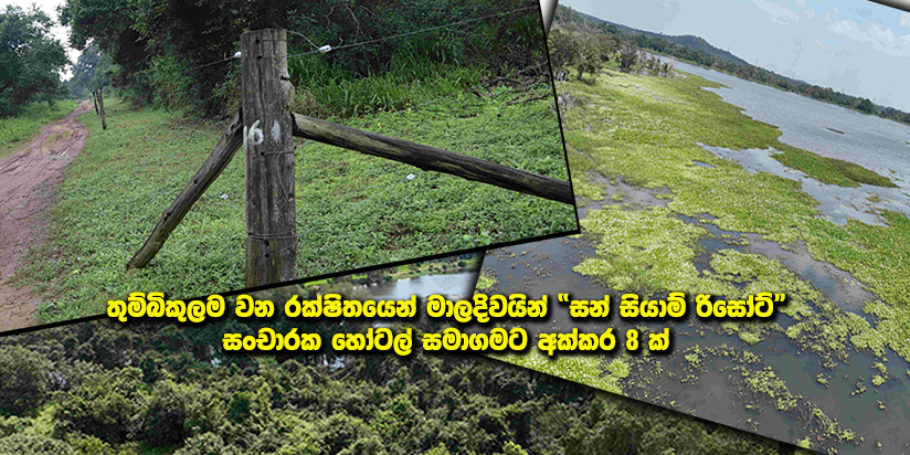 තුම්බිකුලම වන රක්ෂිතයේ ඉඩම් පලුගස්වැව ප්‍රාදේශීය ලේකම් සන් සියාම් සමාගමට බදු දීමට සැරසෙයි